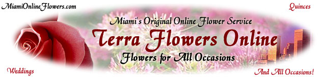 Terra Flowers of Miami