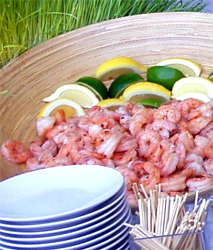 VIP Caribbean seafood only with Food by Chef Lars catering services included a range of most important seafood recipes: Bouillabaisse, Fried calamari, Ceviche, Cioppino, Clam chowder, Curanto, Shrimp cocktail, Sashimi, Sushi... Miami wedding seafood catering by Chef Lars... Food by Chef Lars has a professional Caterers team for small private dinner parties trough office, corporation parties and expert for deluxe weddings in Miami... Food by Chef Lars with his European and elegant SAVOIR-FAIRE offers VIP catering services in Miami...